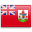 Bermuda flag
