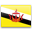 Brunei flag