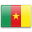 Cameroon flag