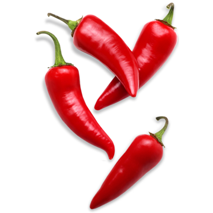 Chilli