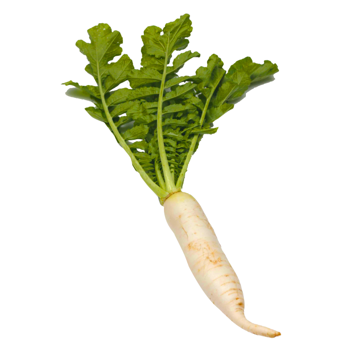 Horseradish