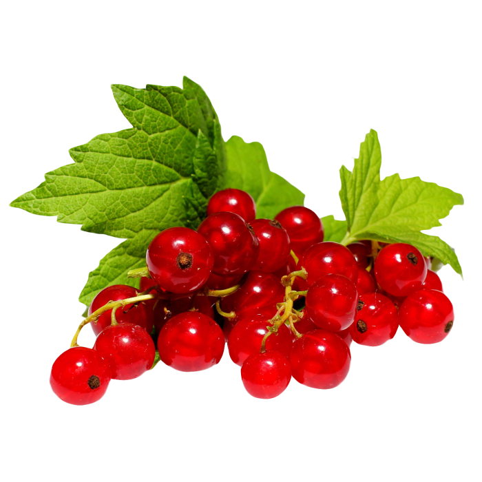 Redcurrants