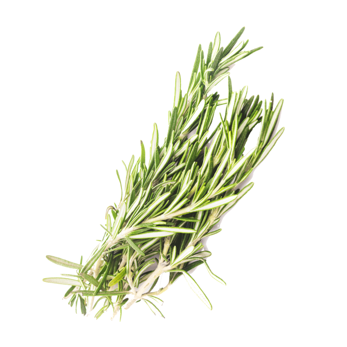 Rosemary