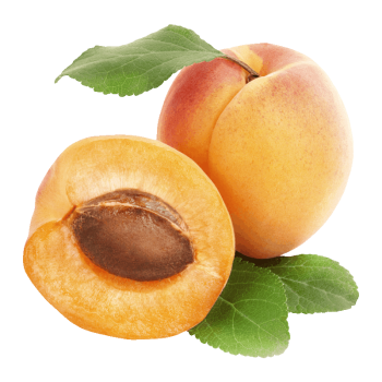 Apricot