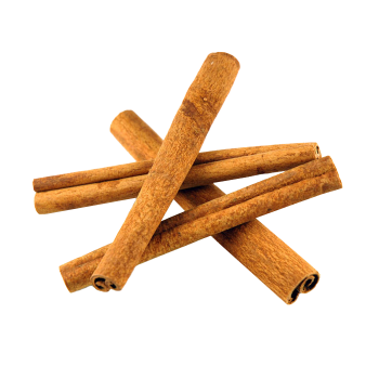 Cinnamon Stick