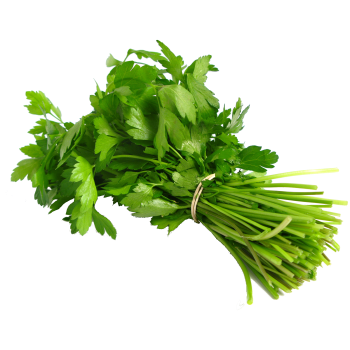 Coriander Leaves