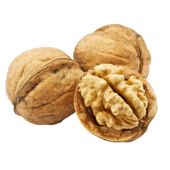 Ground Walnuts