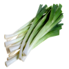 Leek