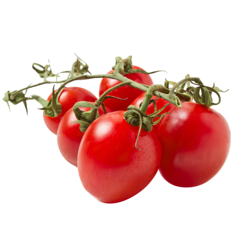 Plum tomatoes