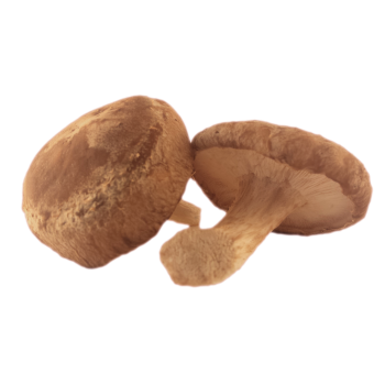 Shiitake Mushrooms