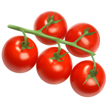 Vine Tomatoes