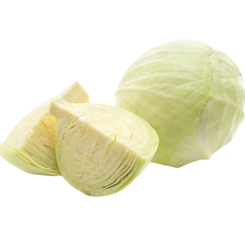 White Cabbage