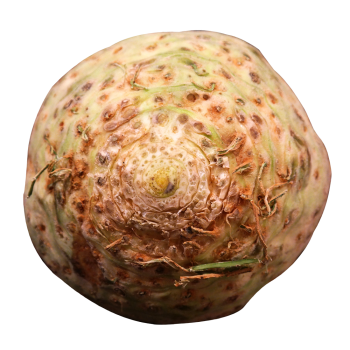 celeriac