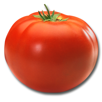 Tomato medium picture